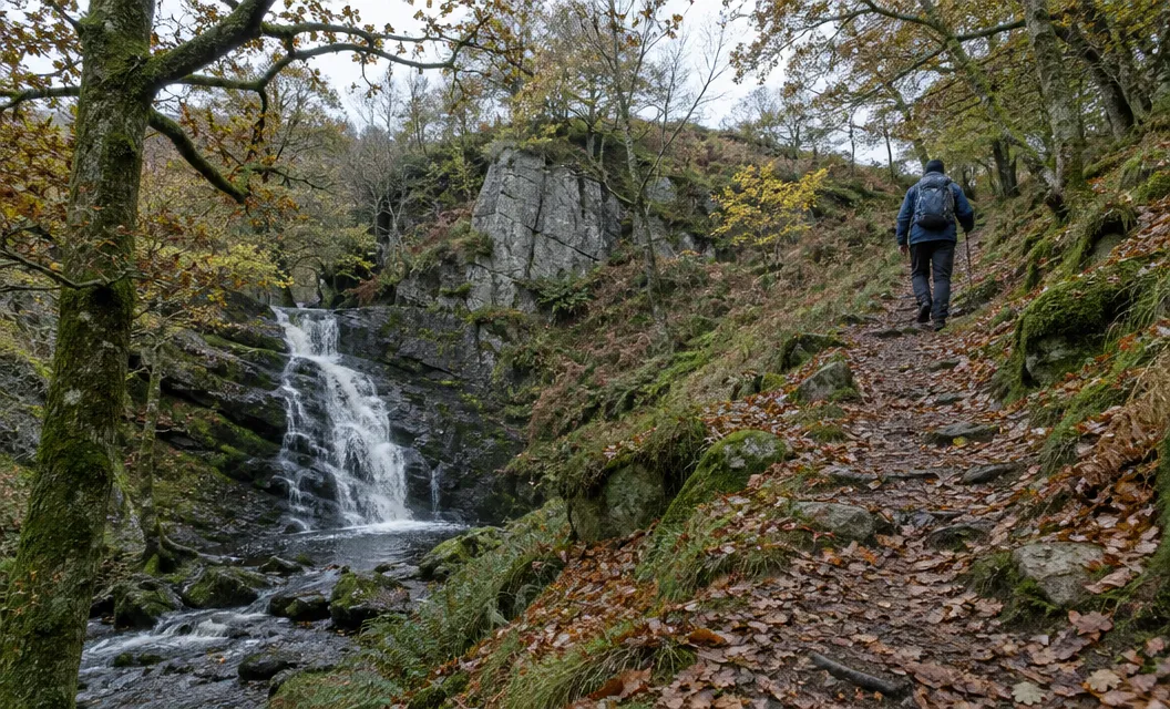 A path through oak woodland near a waterfall and rock, an illustration of the kind of woodland on the way to Dinas Emrys.