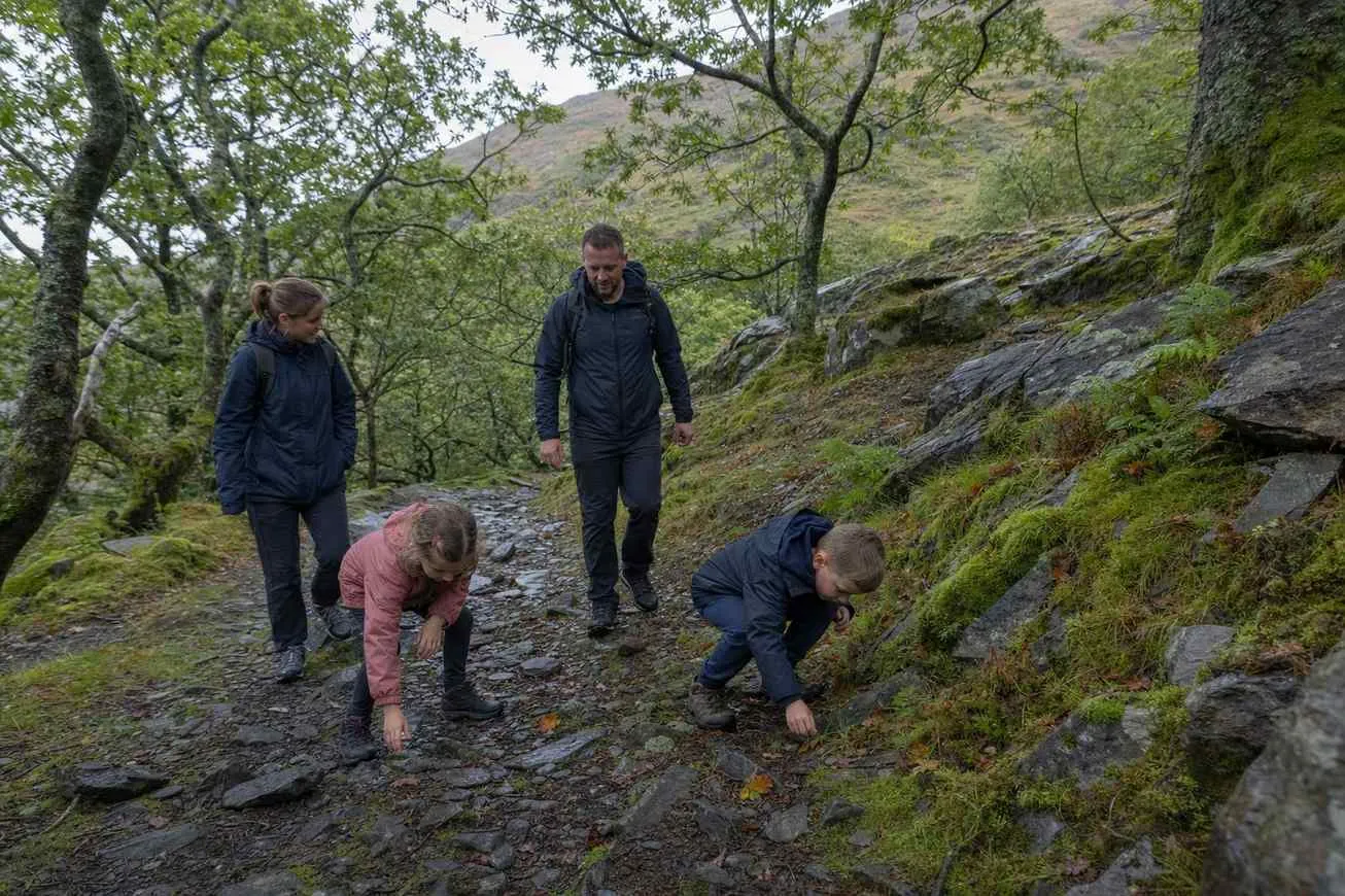 a family with young children exploring a woodland trail