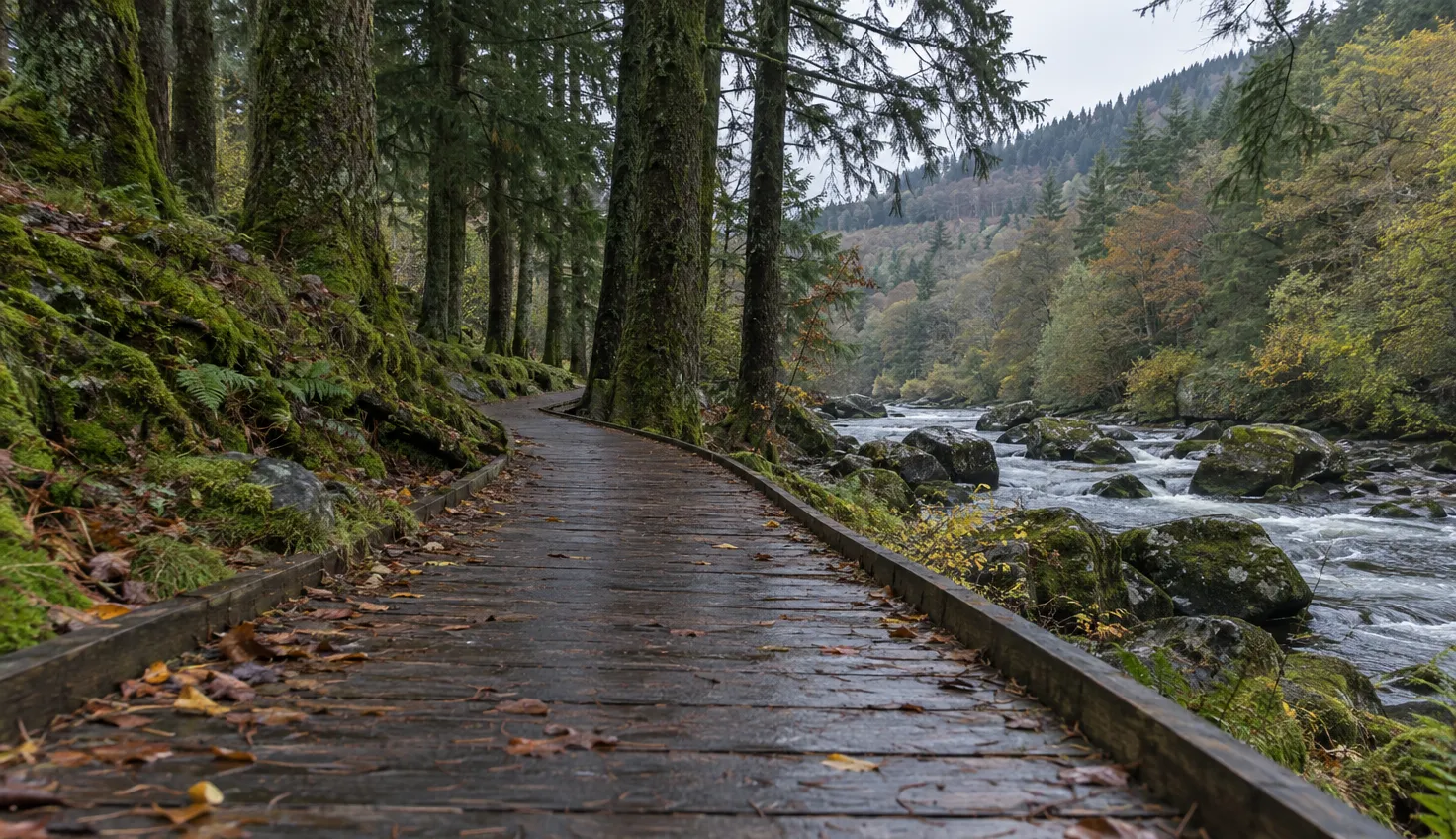 An empty wooden boardwalk beside a boulder-strewn river, with conifers on the bank.