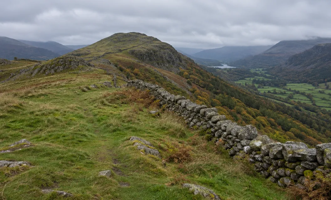 A drystone wall crossing a grassy shoulder towards a rounded hill.