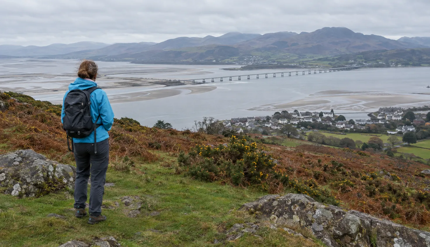 A walker on a rough hillside looking over a wide estuary, a long bridge and a small town below.