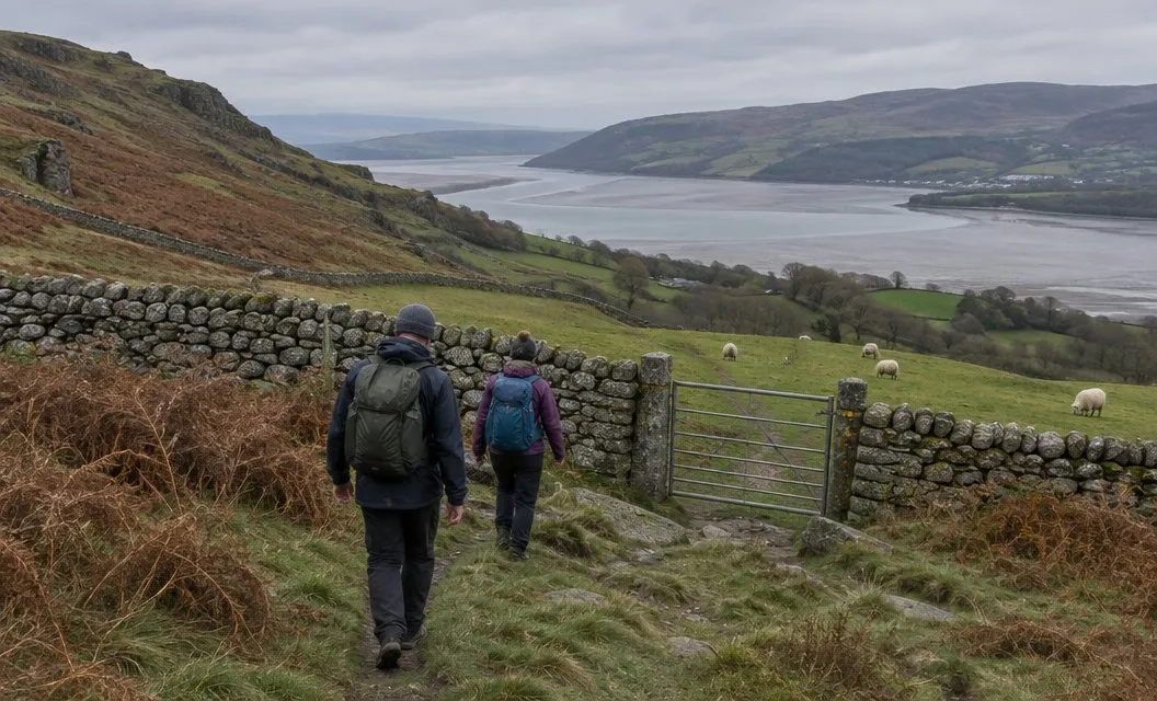 A metal gate in an old drystone wall on a hillside, with sheep grazing beyond.
