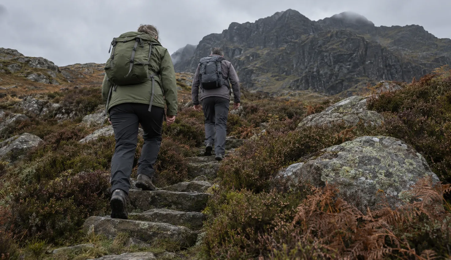 Two walkers climbing rough stone steps through deep heather and grey boulders.