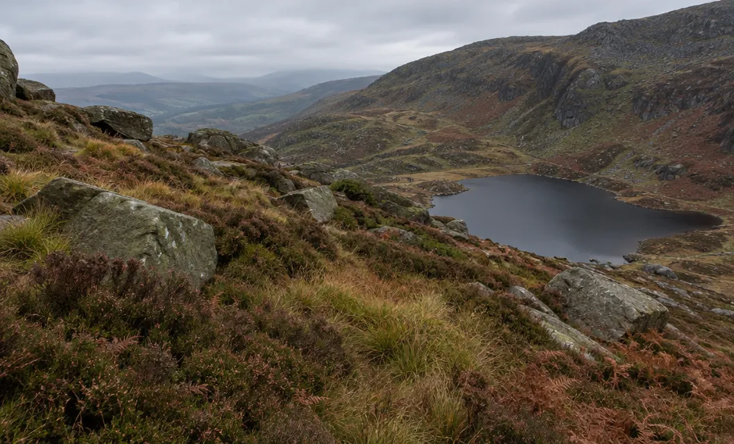 Deep heather and jumbled boulders on a hillside with no visible path.