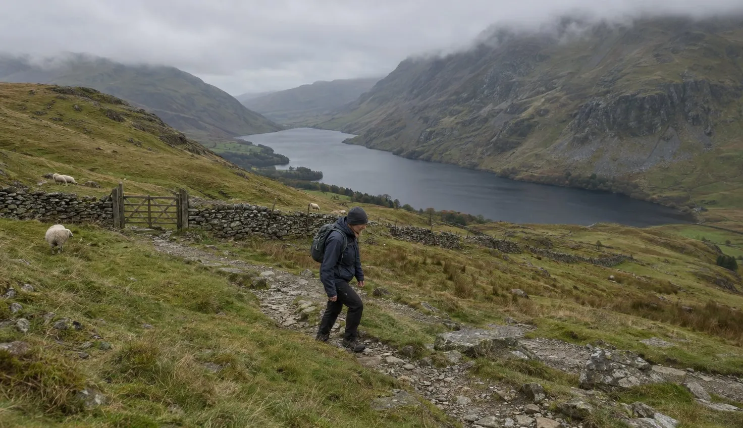 A walker climbing a zig-zag path across open mountain pasture high above a long lake.