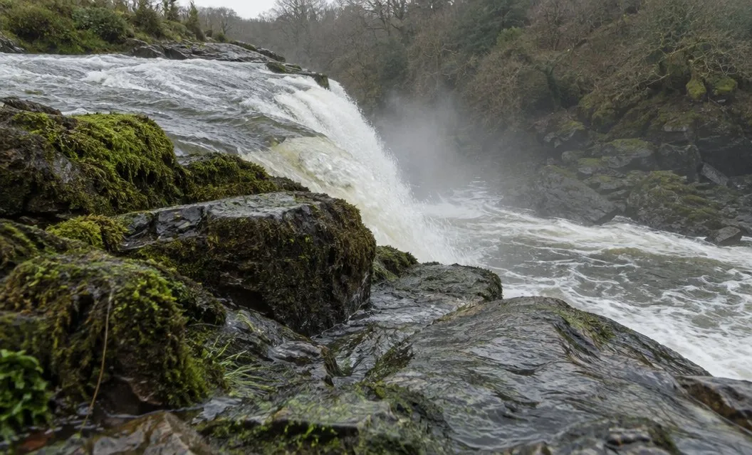 Wet, mossy rocks at the edge of a churning pool below a waterfall.