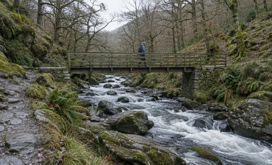 A walker crossing a wooden footbridge over a rocky stream in a wooded gorge.