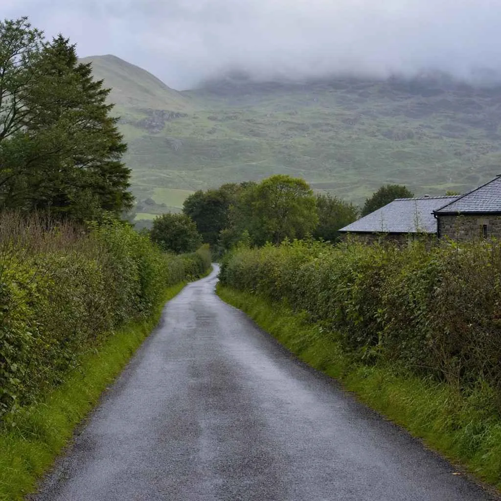 a quiet hedge-lined country lane on a grey morning