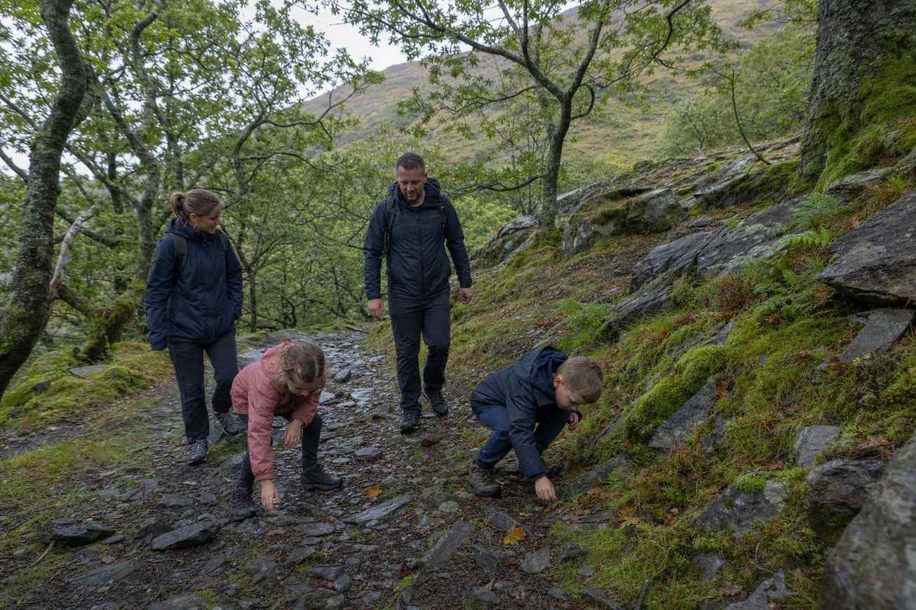 Why Hiking and Outdoor Play Are So Good for Families