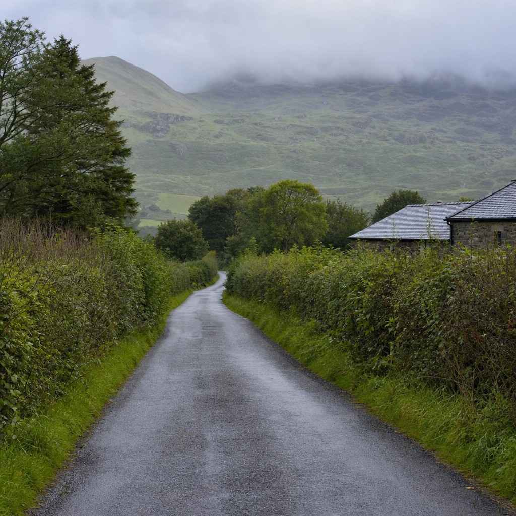 a quiet hedge-lined country lane on a grey morning
