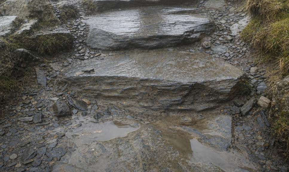 Worn wet stone steps on a busy Welsh mountain path
